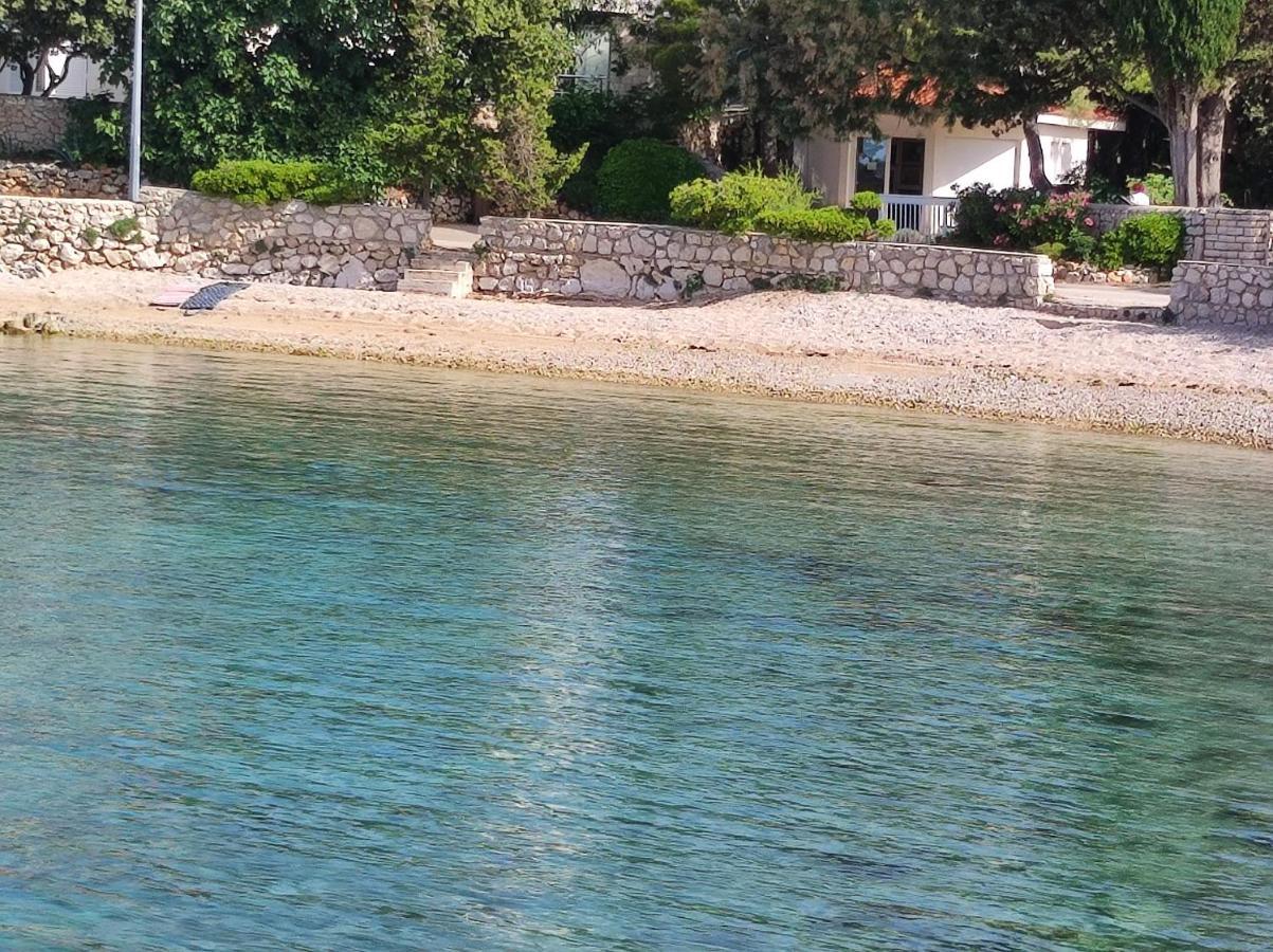 Dolphin View With A Pool By The *